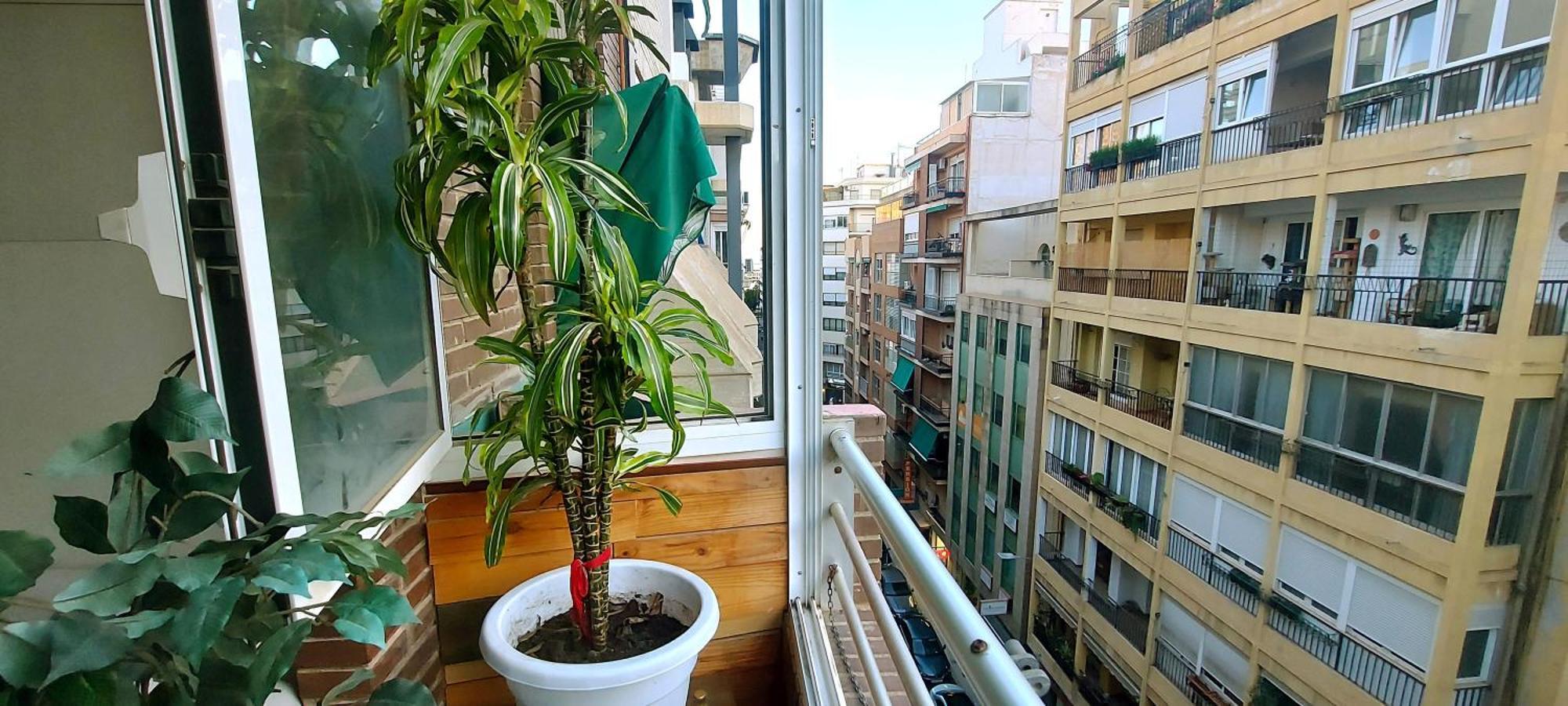 Modern Apartment In Alacant 60M² Wheelchair Accessible Alicante Exteriér fotografie